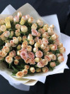 Букет из 25 кремово-персиковых кустовых роз
