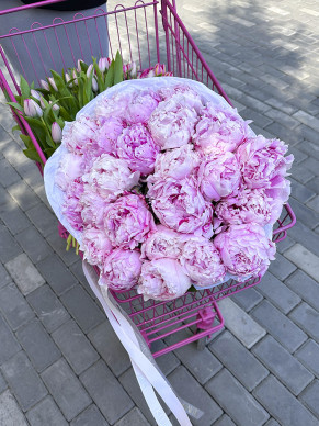 BUKET 492
