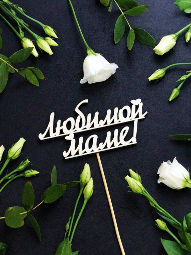 Вставка Любимой маме!