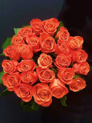 Роза Orange Crush