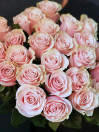 Роза Pink Mondial 